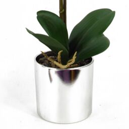 Leaf 46cm Artificial Orchid Harlequin Pink with Silver Pot - thumbnail 6