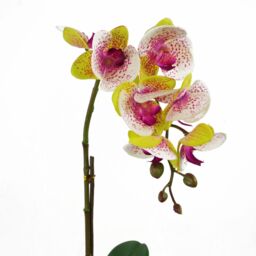 Leaf 46cm Artificial Orchid Harlequin Pink with Silver Pot - thumbnail 3