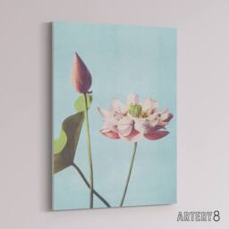 "Artery8 Pink Lotus Flower Blooms Canvas Wall Art Print Ogawa Kazumasa in Blue - Size: W18"" x H24""" - thumbnail 2