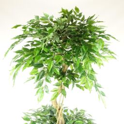 Leaf Artificial Ficus Triple Ball Tree 6ft Gold Metal Planter in Green - thumbnail 2