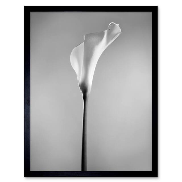 "Artery8 Flower Black & White Calla Lily Home Decor 12x16"" Framed Art Print in Grey - Size: W12"" x H16""" - image 1