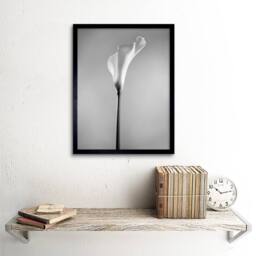 "Artery8 Flower Black & White Calla Lily Home Decor 12x16"" Framed Art Print in Grey - Size: W12"" x H16""" - thumbnail 2