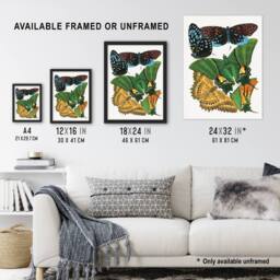 "Artery8 Vintage Vibrant Butterflies Papillon Wall Art Print Eugene Seguy - Size: W12"" x H16""" - thumbnail 3