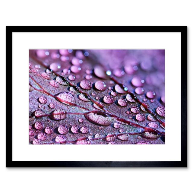 "Artery8 Wall Art Print Water Droplets Leaf Macro Framed in Black - Size: W7"" x H9""" - image 1