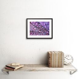 "Artery8 Wall Art Print Water Droplets Leaf Macro Framed in Black - Size: W7"" x H9""" - thumbnail 2