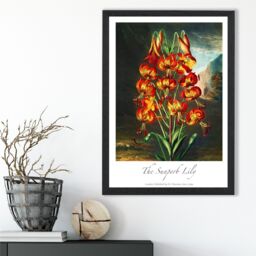 ARTZE Vintage Floral Exhibition - Lily Flower Framed Print SIZE: A3 with Black Frame in Red - Size: A4 - thumbnail 2