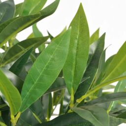 Berkfield Home Artificial Bay Tree Plant with Pot 125 cm Green - thumbnail 2
