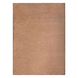 RugsX Wall-To-Wall Indus Rug in Brown - Size: 300 cm x 350 cm - thumbnail 4