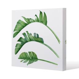 Benjamin Tate Design Triple Botanical (Canvas Print) / 61 x 61 x 4cm in Natural - Size: 61 x 61 x 4 cm - thumbnail 1