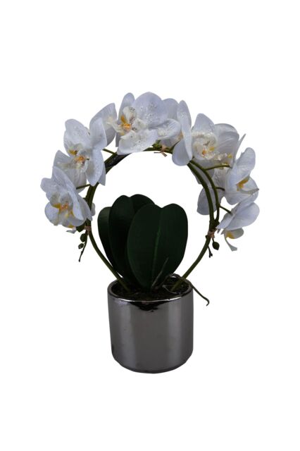 VFM e-Store Phalaenopsis Potted Plant Artificial Decoration Cream in White - image 1