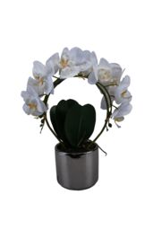 VFM e-Store Phalaenopsis Potted Plant Artificial Decoration Cream in White