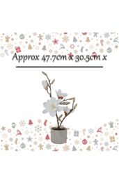 VFM e-Store Phalaenopsis Potted Plant Artificial Decoration Cream in White - thumbnail 2