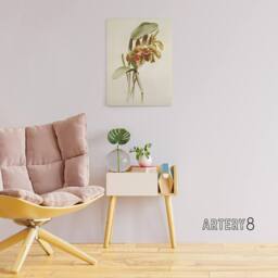"Artery8 F Sander Cattleya Granulosa Var Schofieldiana Orchid Canvas Art Print in White - Size: W12"" x H16""" - thumbnail 3