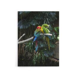 "Artery8 Colourful Sleeping Parrots Carol M Highsmith Canvas Wall Art Print - Size: W18"" x H24""" - thumbnail 1