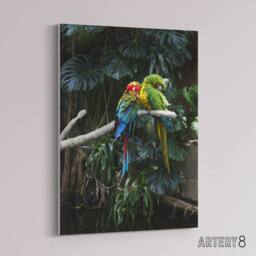 "Artery8 Colourful Sleeping Parrots Carol M Highsmith Canvas Wall Art Print - Size: W18"" x H24""" - thumbnail 2
