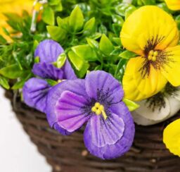 Primrose Artificial Pansy Flowers Rattan Hanging Basket Decoration Yellow Purple & White 25cm - thumbnail 5