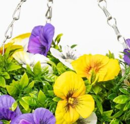 Primrose Artificial Pansy Flowers Rattan Hanging Basket Decoration Yellow Purple & White 25cm - thumbnail 3