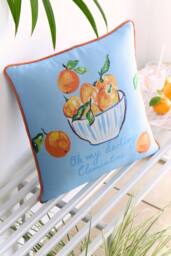 Fusion 'My Darling Clementine' Water Resistant Filled Cushion - Size: 43 cm x 43 cm - thumbnail 1