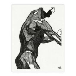 "Artery8 Anatomical study of mans lateral muscles Stolk Wall Art Poster Print in White - Size: W24"" x H32""" - thumbnail 1