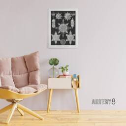 "Artery8 Marine sea ocean Life in B&W Haeckel Canvas Wall Art in Black - Size: W18"" x H24""" - thumbnail 3