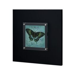 Orsina Butterfly 2 Framed Wall Art Home Wall Décor in Black - thumbnail 3