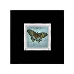 Orsina Butterfly 2 Framed Wall Art Home Wall Décor in Black - thumbnail 1