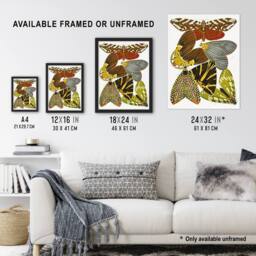 Artery8 Butterfly Illustration Vintage Framed Wall Art Print Eugene Seguy - Size: A4 - thumbnail 3