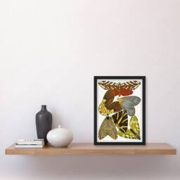 Artery8 Butterfly Illustration Vintage Framed Wall Art Print Eugene Seguy - Size: A4 - thumbnail 4