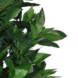 Leaf Pair of 120cm (4ft) Artificial Topiary Bay Trees Pyramid Cones - Extra Large in Green - thumbnail 6