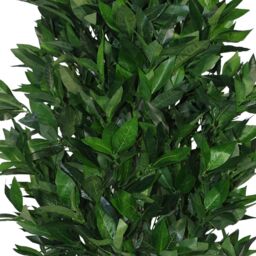 Leaf Pair of 120cm (4ft) Artificial Topiary Bay Trees Pyramid Cones - Extra Large in Green - thumbnail 4