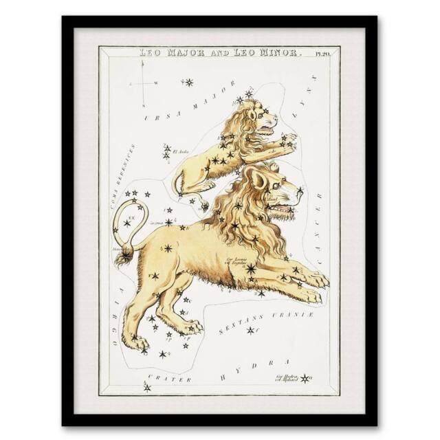 Artery8 Sidney Hall Vintage Leo Constellation Illustration Framed Art Print in White - Size: A3 - image 1