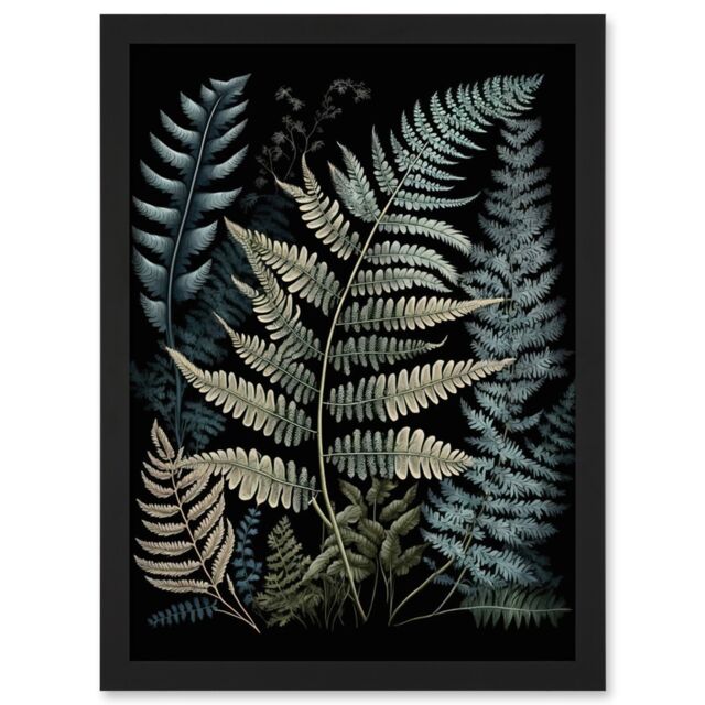 Artery8 Fern Frond Species Detailed Botanical Illustration Artwork Framed Wall Art Print A4 in Black - image 1