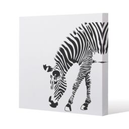 Benjamin Tate Design Zebra (Canvas Print) / 101 x 101 x 4cm in Natural - Size: 101 x 101 x 4 cm - thumbnail 1