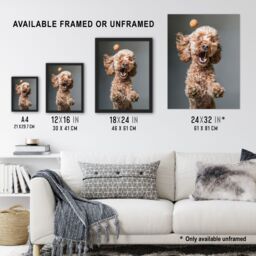 "Artery8 Wall Art Print Funny Cockapoo Dog Lover Treat Catch Photo Poster in Grey - Size: W12"" x H16""" - thumbnail 3
