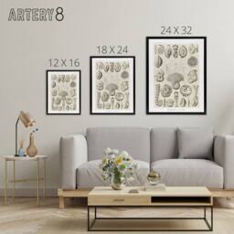 "Artery8 Thalamophora Vintage Marine Life Haeckel Black Framed Canvas Wall Art in Beige - Size: W12"" x H16""" - thumbnail 4