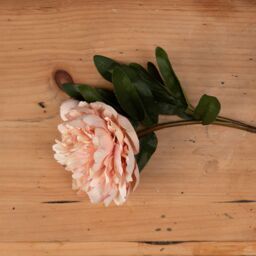 Love Lace Peach Peony Rose Artificial Flower in Orange - thumbnail 2