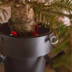 Harbour Housewares Classic Real Christmas Tree Stand - 5.5in - Metal Live Xmas Tree Holder in Green - thumbnail 6