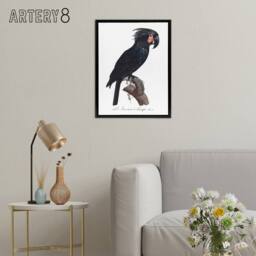 "Artery8 Black Palm Cockatoo Parrot Levaillant Framed Canvas Wall Art Print in White - Size: W24"" x H32""" - thumbnail 3