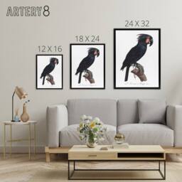 "Artery8 Black Palm Cockatoo Parrot Levaillant Framed Canvas Wall Art Print in White - Size: W24"" x H32""" - thumbnail 4