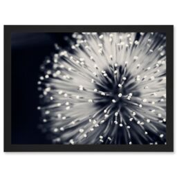 Artery8 Photo Nature Plant Flower Black White Beautiful Home A4 Artwork Framed Wall Art Print - thumbnail 1