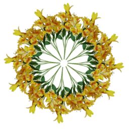 Leaf Pack 12 x 60cm Artificial Lily Stem - Yellow - 144 Flowers - Size: 12 x 60 cm - thumbnail 1