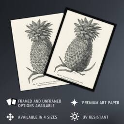 "Artery8 Vintage Black White Pineapple Illustration Wright Wall Art Print - Size: W24"" x H32""" - thumbnail 2