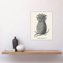 "Artery8 Vintage Black White Pineapple Illustration Wright Wall Art Print - Size: W24"" x H32""" - thumbnail 4