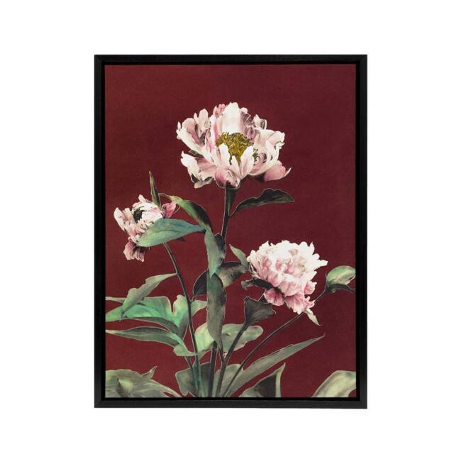 "Artery8 Pink Herbaceous Peony Flower Framed Canvas Wall Art Print Ogawa Kazumasa in Red - Size: W18"" x H24""" - image 1