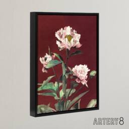 "Artery8 Pink Herbaceous Peony Flower Framed Canvas Wall Art Print Ogawa Kazumasa in Red - Size: W18"" x H24""" - thumbnail 2