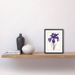 "Artery8 Wall Art Print Iris Reticulata Watercolour Flower Bloom Drawing Artwork Framed 9X7 Inch in Black - Size: W7"" x H9""" - thumbnail 2