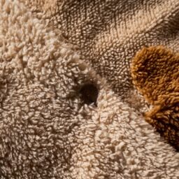 OHS Tufted Gingerbread Man Duvet Cover with Pillowcase Bedding Set in Natural - Size: Single - thumbnail 5
