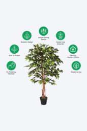 Homescapes Luxury 4ft Ficus Tree Artificial Plant, Real Stem, Black Pot, 120cm in Green - thumbnail 5