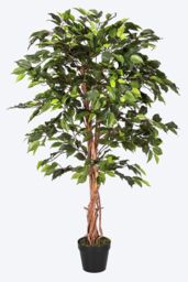 Homescapes Luxury 4ft Ficus Tree Artificial Plant, Real Stem, Black Pot, 120cm in Green - thumbnail 1