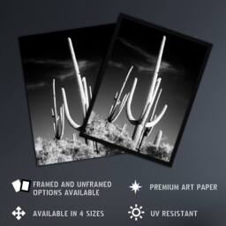 "Artery8 Saguaro Cactus Arizona Carol M Highsmith Wall Art Poster Print in Grey - Size: W12"" x H16""" - thumbnail 2